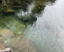 今流行りのAIは一切不使用でお届けします モヤモヤ、誰かに伝えたい気持ち。お手紙お待ちしています。 イメージ3