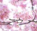 60分なんでもお話しお聞きします 暇つぶしでもお悩みでも愚痴でもなんでも聞きます イメージ1