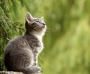 誰かとちょこっと話したい時、5分でもお話を聞きます 今日あったことから深刻な悩みまで寄り添います。 イメージ1