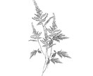 あなたのお好きな花束、描きます お好きな花束データ制作いたします。 イメージ6