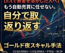 もう溶かさないＦＸ判断力を一緒に作ります 焦って取り返すトレードから、根拠で待てるトレードへ イメージ5