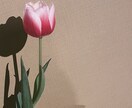 関西弁であなたの心に寄り添います たくさんお話しましょう❤︎あなたのことを教えてください♪ イメージ1