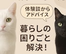 猫と暮らす人の愚痴・モヤモヤ、静かにお聞きします 猫との暮らしの“うちだけ？”に寄り添います。 イメージ2