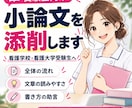 看護学校・看護大学受験の小論文を添削します 看護系大学教員が受験生目線で小論文を丁寧に添削します イメージ1