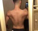 あなたの体型を美しくするお手伝いをします 筋トレ、ダイエット、食事のアドバイスをさせて頂きます。 イメージ1