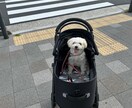 誰にも言えない悩み、全部聞きますます 言えない悩みや愚痴、否定せず全部受け止めます。 イメージ7