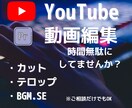 YouTubeなどの動画編集を格安でお届けします YouTube short 、TikTok用も承ります！ イメージ1