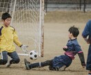 サッカー中心にスポーツ撮影します 試合の熱量と表情を丁寧に残します イメージ2