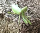 心身で闘病中、落ち込んでいる方のお話、うかがいます 対人関係でのハラスメントや精神疾患の辛さや苦しみを共有します イメージ3