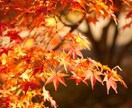 企業HP・ビジネス用写真を撮影します アマチュアですので関西圏中心に安く承ります！ イメージ8