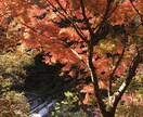 少し話相手がほしい。なんでも聞きます １分でも何分でもお話しききます。 イメージ2
