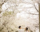 写真を編集ソフトで編集代行します 結婚式用などに温かみのある写真にしたい方へ、編集代行します。 イメージ2