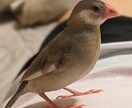 何でも聞きます 人に話したいけど向かっては話せない事、話してみませんか? イメージ1