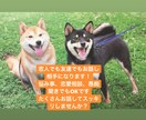 どんなお話相手にでもなります 恋人でも友達でもあなた好みの設定でお喋りを楽しみましょう!! イメージ1