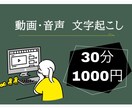 30分1000円 音声データの文字起こしします 初心者価格！動画や音声データの文字起こしをいたします！ イメージ1