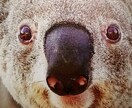 映像字幕翻訳します 英語の内容を翻訳致します。動画の字幕作成にお使いください。 イメージ1