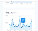 インフルエンサー級の発信力であなたを宣伝します Twitterのフォロワー数を30日間じっくり伸ばしたい人へ イメージ5