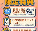初心者でも型通りで収益化めざせます 初心者向け/SNS/コピペOK/再配布OK/収益化 イメージ2