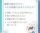 副業初心者さんのお悩みなんでも相談できます 副業で不安があり、成果に繋がらない方向けにお悩みサポート イメージ2