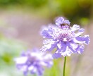 元気になりたい！その方法はたった一つだけ！教えます あなたの見える世界、人生が変わります！ イメージ1