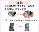 ペットの写真からオリジナルLINEスタンプ作ります 愛するペットの日常をスタンプで残しませんか？ イメージ4