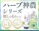 バナー制作をいたします サイトのスライド画像からSNS広告用バナーまでご相談ください イメージ3
