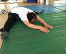 あなたを開脚ストレッチ可能へ導きます プロトレーナーがあなただけのプログラムを作成します イメージ2