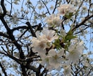 相談乗ります あなたの悩み聞かせてください！ イメージ1