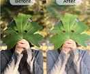 写真を理想の色味にレタッチします 日常の一枚を、記憶に残る一枚へ イメージ2