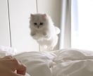 電話が苦手な方、チャットでお話聞きます どんな貴方も受け入れます♡今日あった出来事を聞かせてください イメージ8
