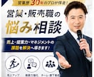 営業歴約30年｜営業/販売職の悩み相談に乗ります 課題整理から行動計画までサポート イメージ2