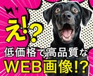 特別価格！目を惹くデザイン作成します 修正回数無制限！丁寧にヒアリングいたします イメージ1