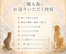 虹の橋を渡ったペットちゃんの気持ち霊視します 家族として大切なあの子との『心の対話』をお届けします イメージ8