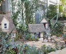 自宅で緑を楽しむ方法を、植物大好きマンが教えます 10年以上の知識・経験で植物の育て方・楽しみ方をサポート！ イメージ2