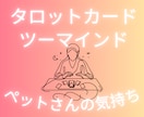 ペットの気持ちをタロットで優しく読み解きます タロットが繋ぐ家族の絆｜言葉にできない心の声を優しく通訳 イメージ4