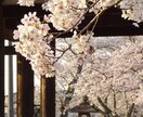5日間連続祈祷で封印を開放し大開運の扉を開きます 高次元の神氣で、あなたの運を制限してた全ての負の鎖を外します イメージ9