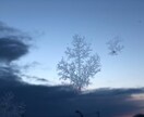 雪遊び教えます 子供から大人まで雪で楽しめる遊びを提案致します。 イメージ3