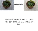 出品画像整えます 明るさ背景ます 出品画像の「暗い・生活感・サイズばらばら」をまとめて改善。 イメージ3