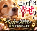 ペットの気持ち｜あの子があなたに伝える真実を視ます 愛するペットの本当の気持ち・家族への想い・今望んでいること イメージ1