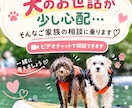 犬を飼う親が心配な方　介護×犬の生活を考えますます 親が犬を飼っているけど、最近ちょっと心配…そんなご家族へ。 イメージ1