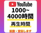 YouTube 再生時間 増やします 1000〜4000時間 増加するまで拡散・宣伝します 補償付 イメージ1