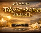 不安、パニックがあるあなたに合った安心法提案します 楽しくお出掛けすること諦めていませんか？ イメージ1