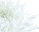 いい感じになるのに付き合えない理由１つ特定します ズレてるポイント▶︎【魂の設計図】に合った具体と行動 イメージ9