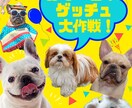 Canvaで作成/いろんなチラシ作ります 納得がいくチラシを作ります。お気軽にお申し付けください！ イメージ3