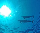実はブラック企業⁉︎頑張るあなたの味方になります 毎日真面目に働いていても評価されずサービス残業でヘトヘトな方 イメージ9