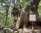 福岡県内にプロを派遣し、神社代理参拝いたします 遠方の方、プロに参拝をお願いしたい方に✨　神社代理参拝✨ イメージ4