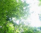 意見が言えなくて辛い…文字のやりとりで相談できます 元陰キャコミュ症いじめられっ子の僕に任せてください✨ イメージ3