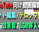 YouTube向けの動画編集承ります カット編集/テロップ挿入/効果音・BGM挿入お任せください イメージ1