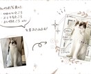 あなたのおうちのねこさんをほめます ねこさんのお写真に、ねこさんのステキなところを書き込みます イメージ3