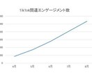 TikTokの再生回数『10万回』増やします 1500円で+10万回！最大100万回まで拡散できます！ イメージ2